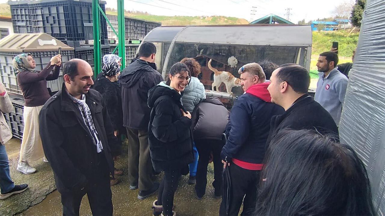 Yalova Beyazay Dernegi Otizmli Bireyler Engelli Ciftlikkoy Belediye Sokak Hayvan (1)