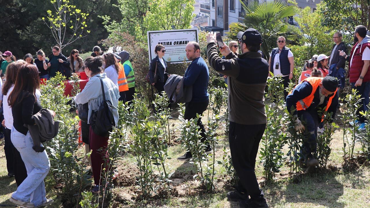 Yalova Ciftlikkoy Bahcesehir Koleji 400 Defne Fidani Doga (4)