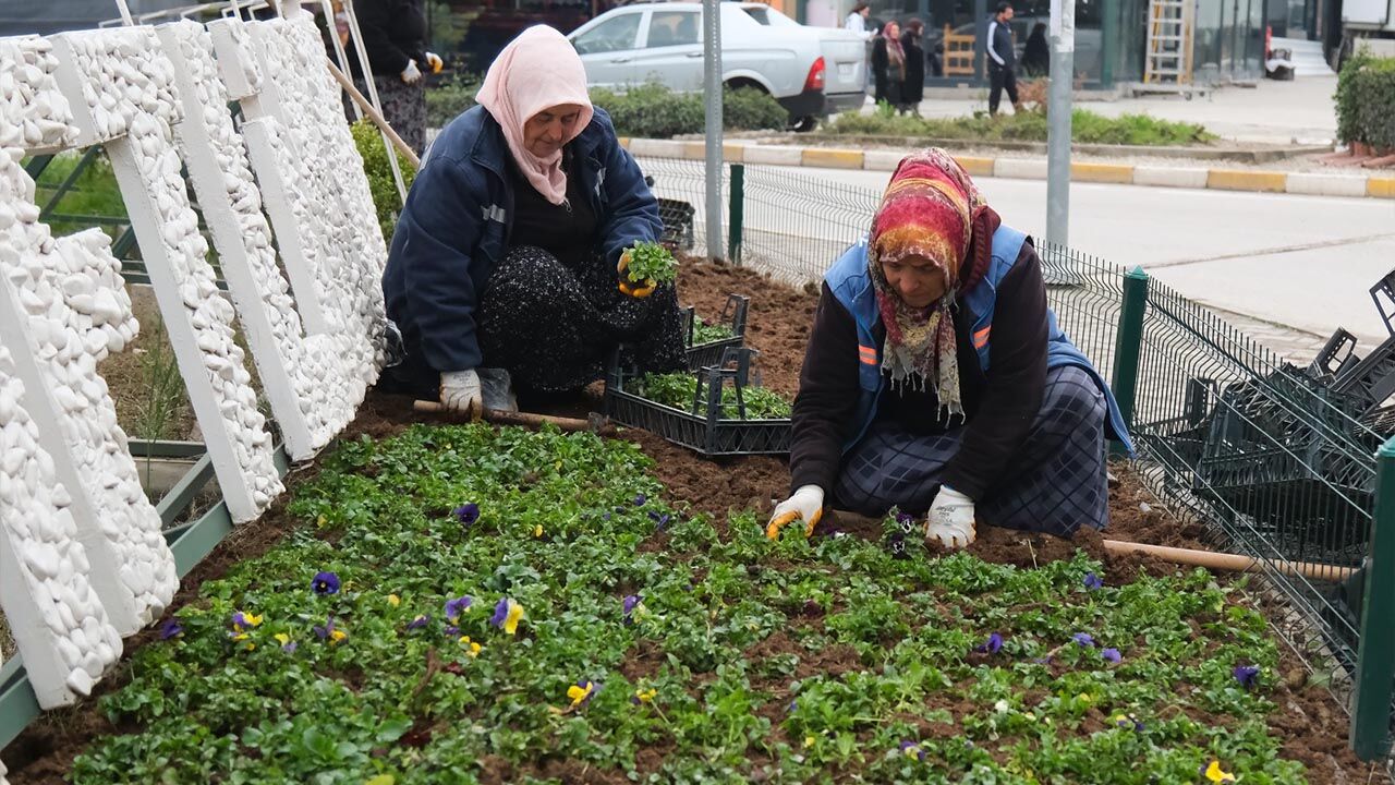 Yalova Ciftlikkoy Belediye Ataturk Cadde Menekse Dikimi (1)