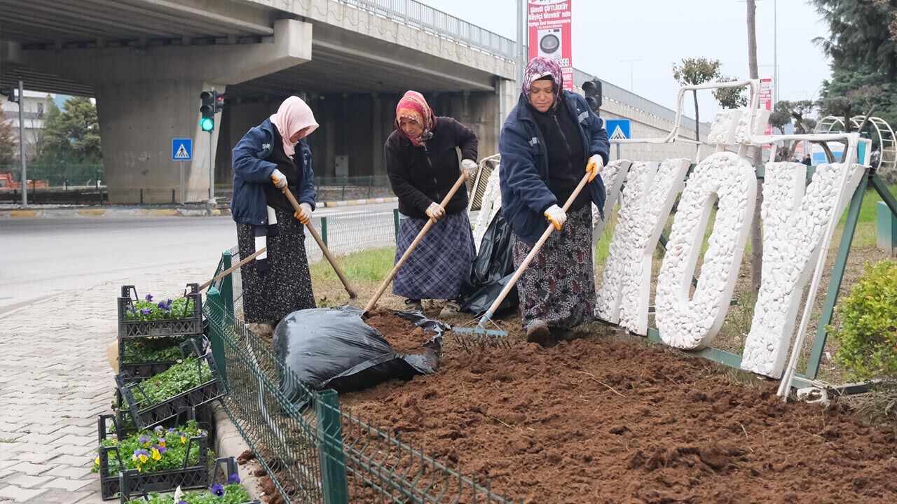 Yalova Ciftlikkoy Belediye Ataturk Cadde Menekse Dikimi (3)