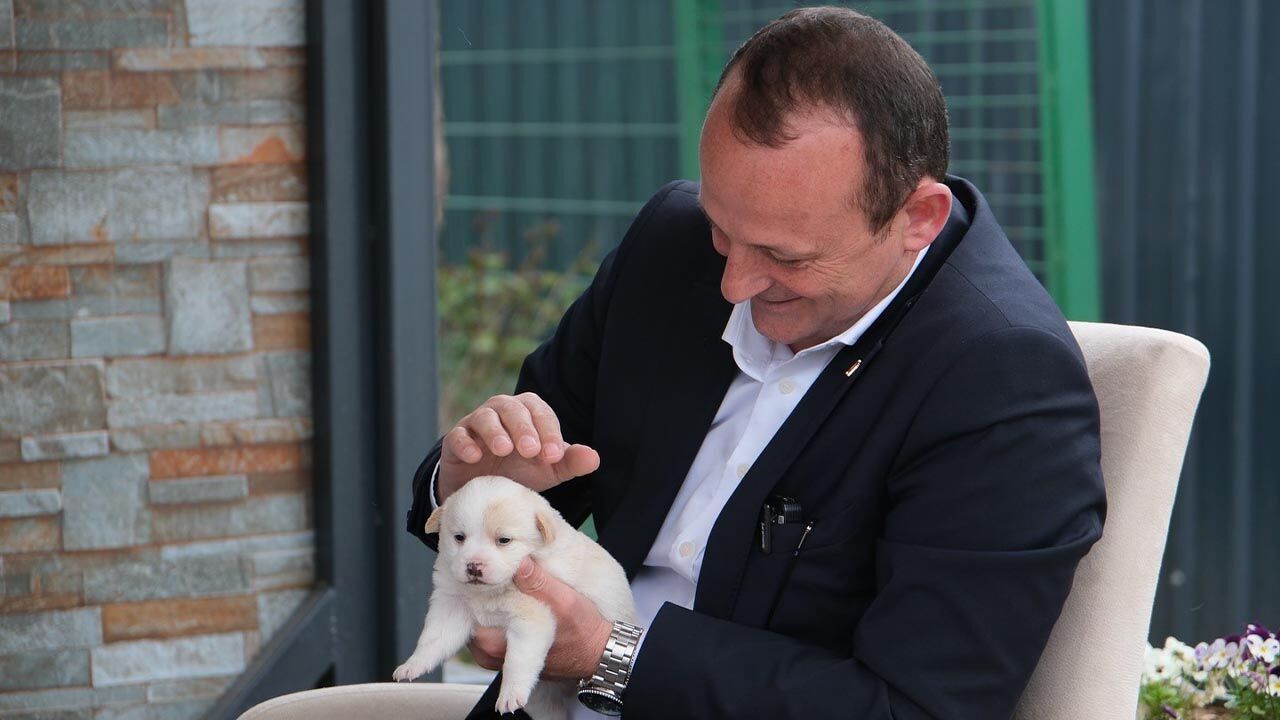 Yalova Ciftlikkoy Belediye Dunya Sokak Hayvanlari Gun Bakim Hizmet (3)