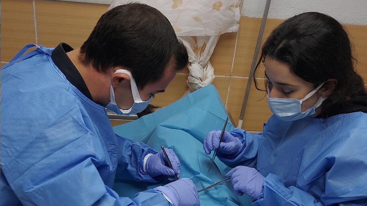 Yalova Ciftlikkoy Belediye Dunya Sokak Hayvanlari Gun Bakim Hizmet (4)