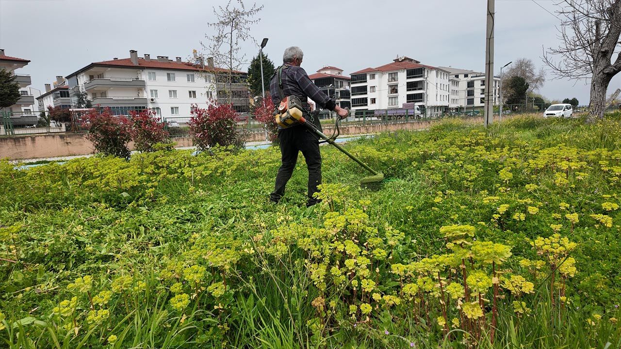 Yalova Cinarcik Belediye Karpuzdere Mahalle Yabani Ot Temizlik (2)