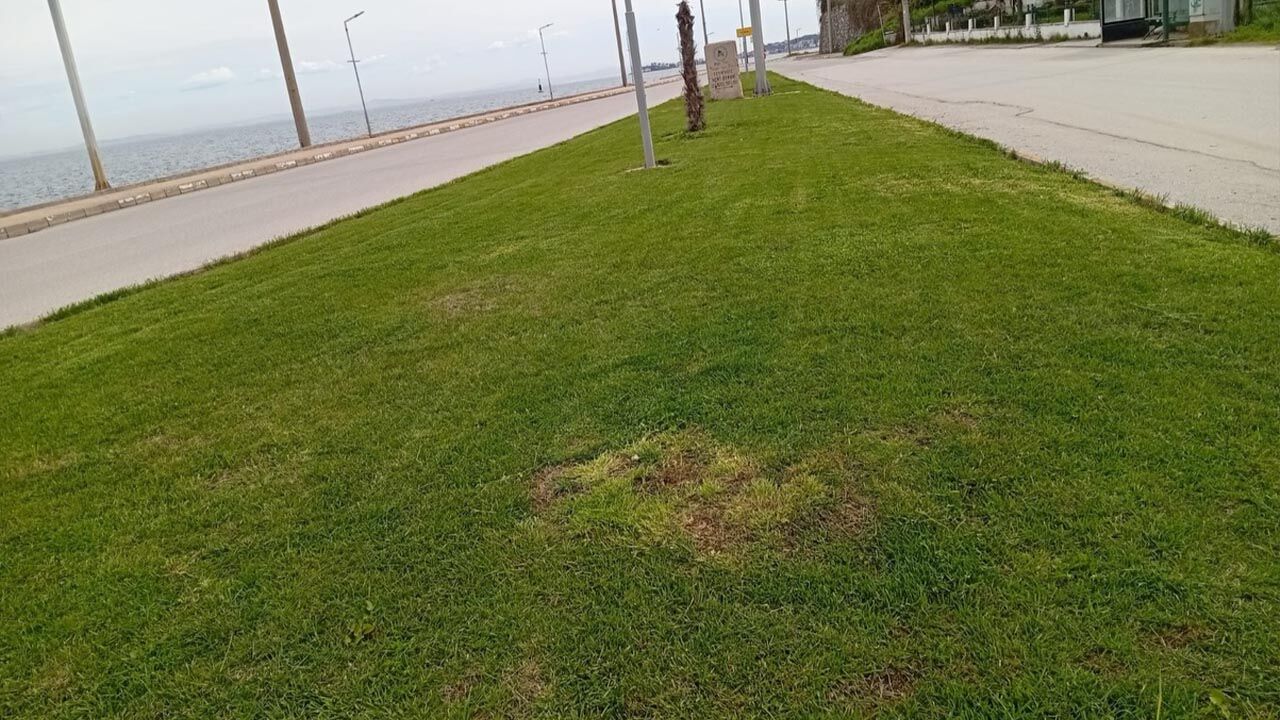 Yalova Cinarcik Belediye Park Bahce Peyzaj Bahar Yaz Hazirlik Calisma (2)