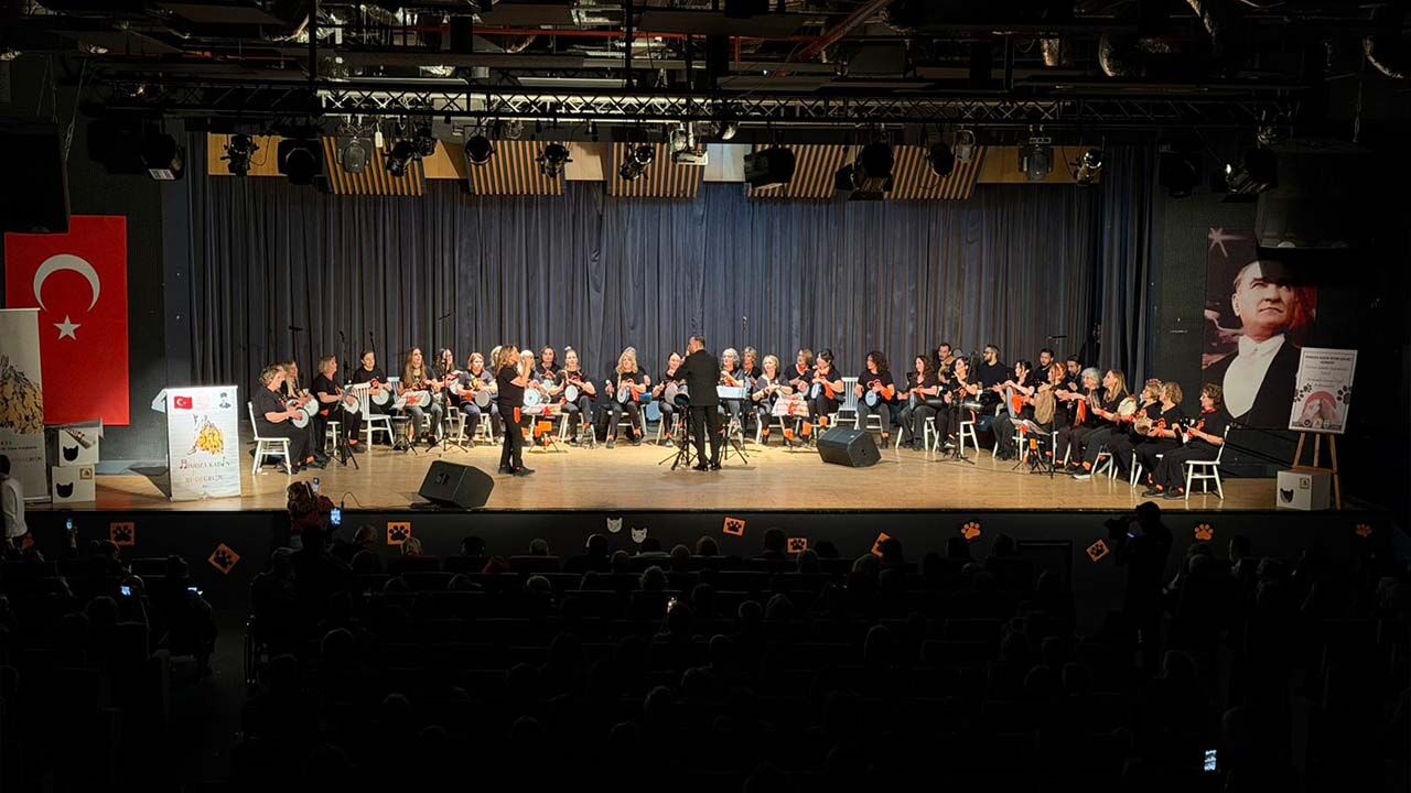 Yalova Guzel Sanatlar Lisesi Belediye Mimoza Ritim Grubu Sokak Hayvan Farkindalik (5)