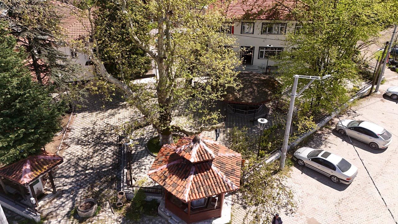 Yalova Il Ozel Idaresi Gacik Cukurkoy Anit Agac Bakim (4)