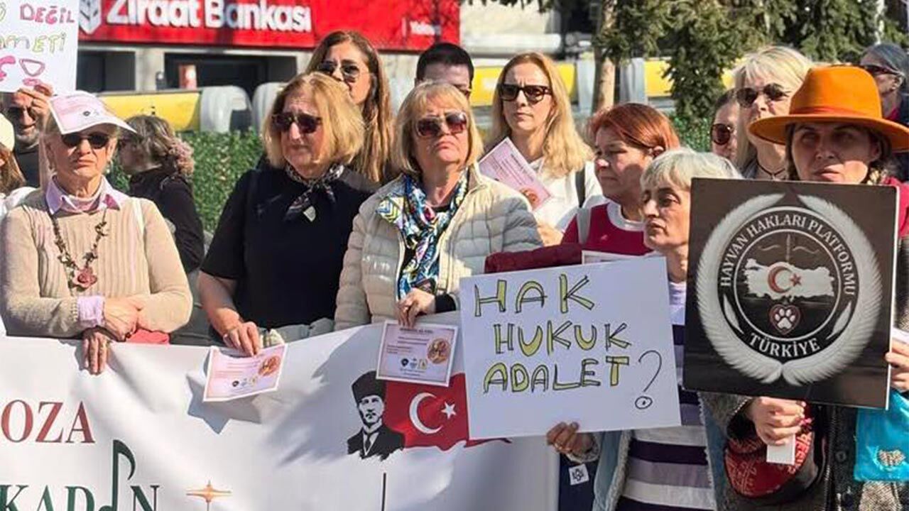 Yalova Istanbul Vali Sokak Hayvan Toplatilma Karar Talep Protesto Toplanma (1)
