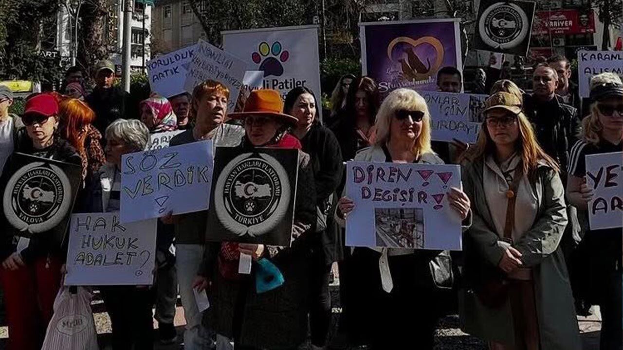 Yalova Istanbul Vali Sokak Hayvan Toplatilma Karar Talep Protesto Toplanma (2)