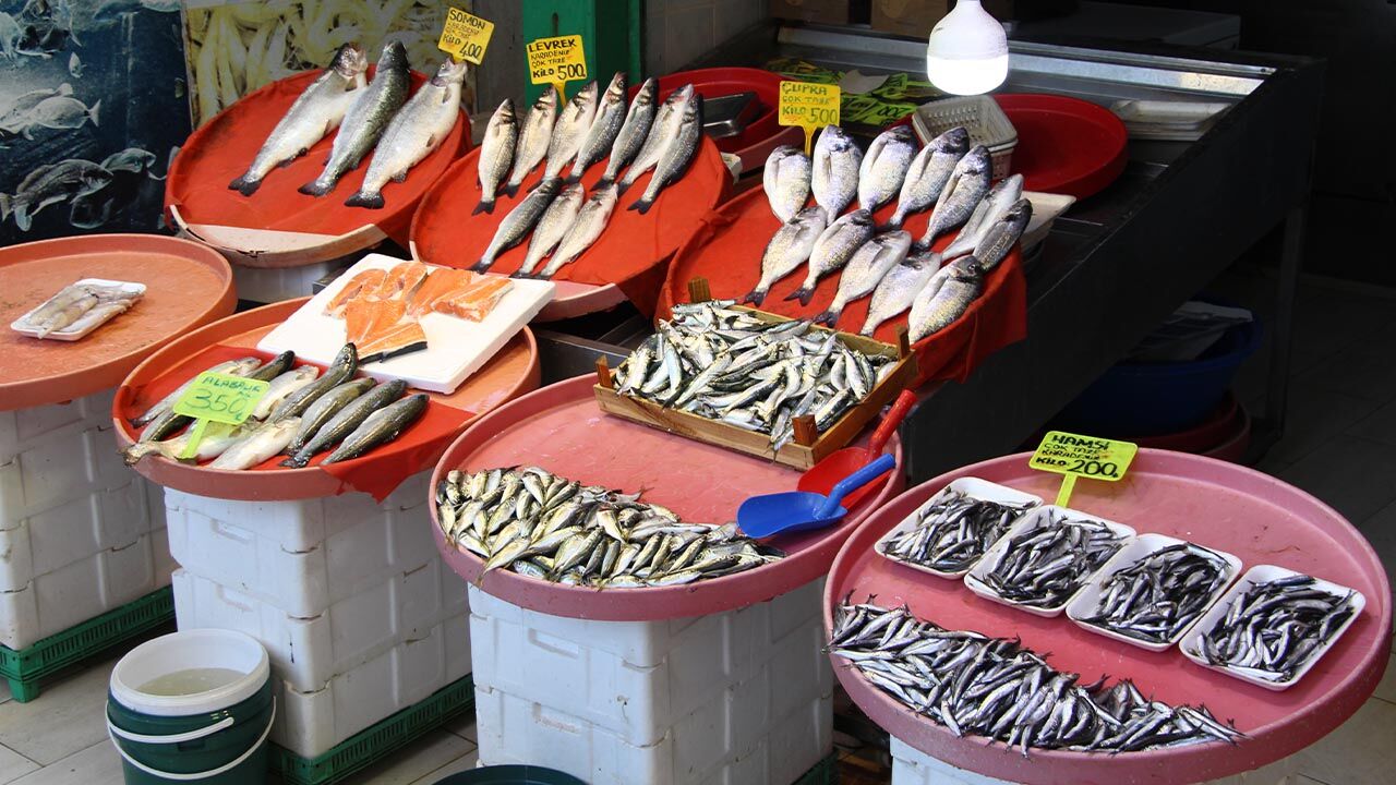 Yalova Merkez Balik Pazar Avlanma Sezonu Bitis Degerlendirme Haber (1)