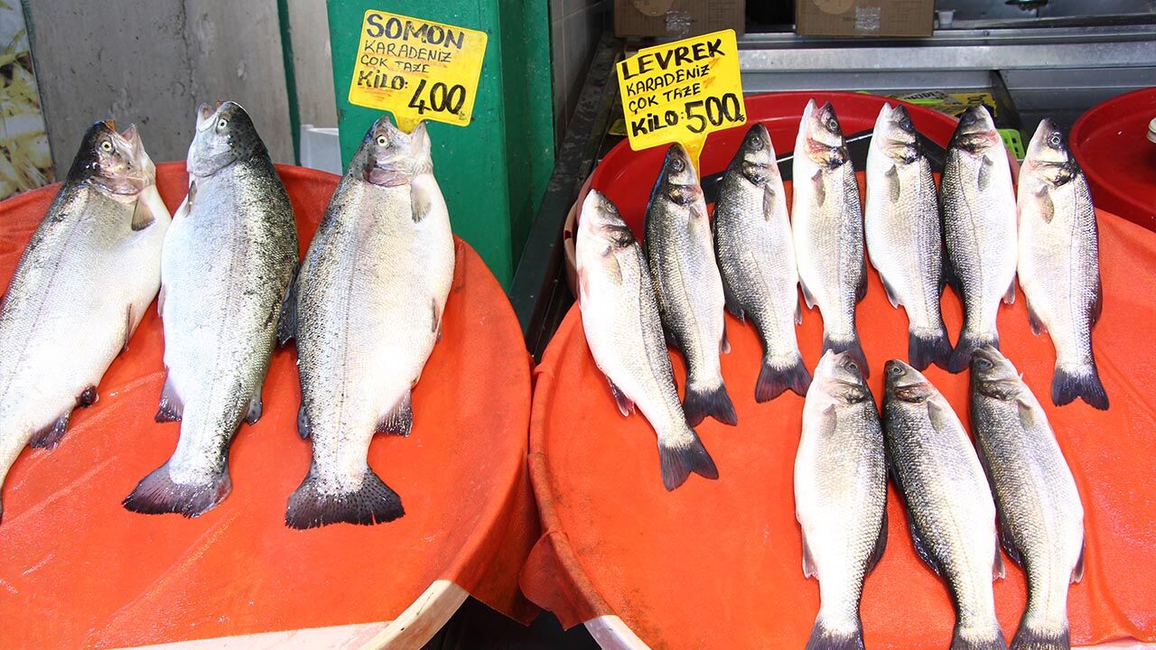 Yalova Merkez Balik Pazar Avlanma Sezonu Bitis Degerlendirme Haber (3)