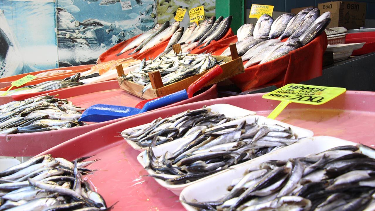 Yalova Merkez Balik Pazar Avlanma Sezonu Bitis Degerlendirme Haber (4)