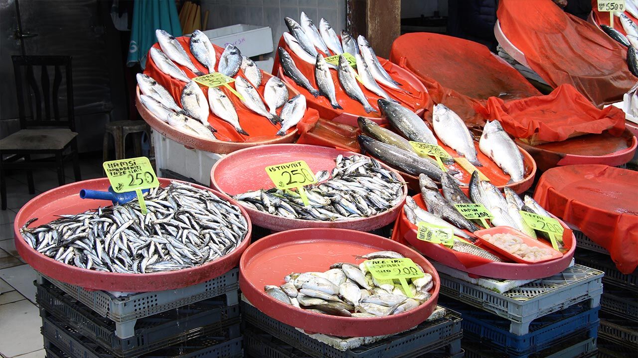 Yalova Merkez Balik Pazar Avlanma Sezonu Bitis Degerlendirme Haber (5)