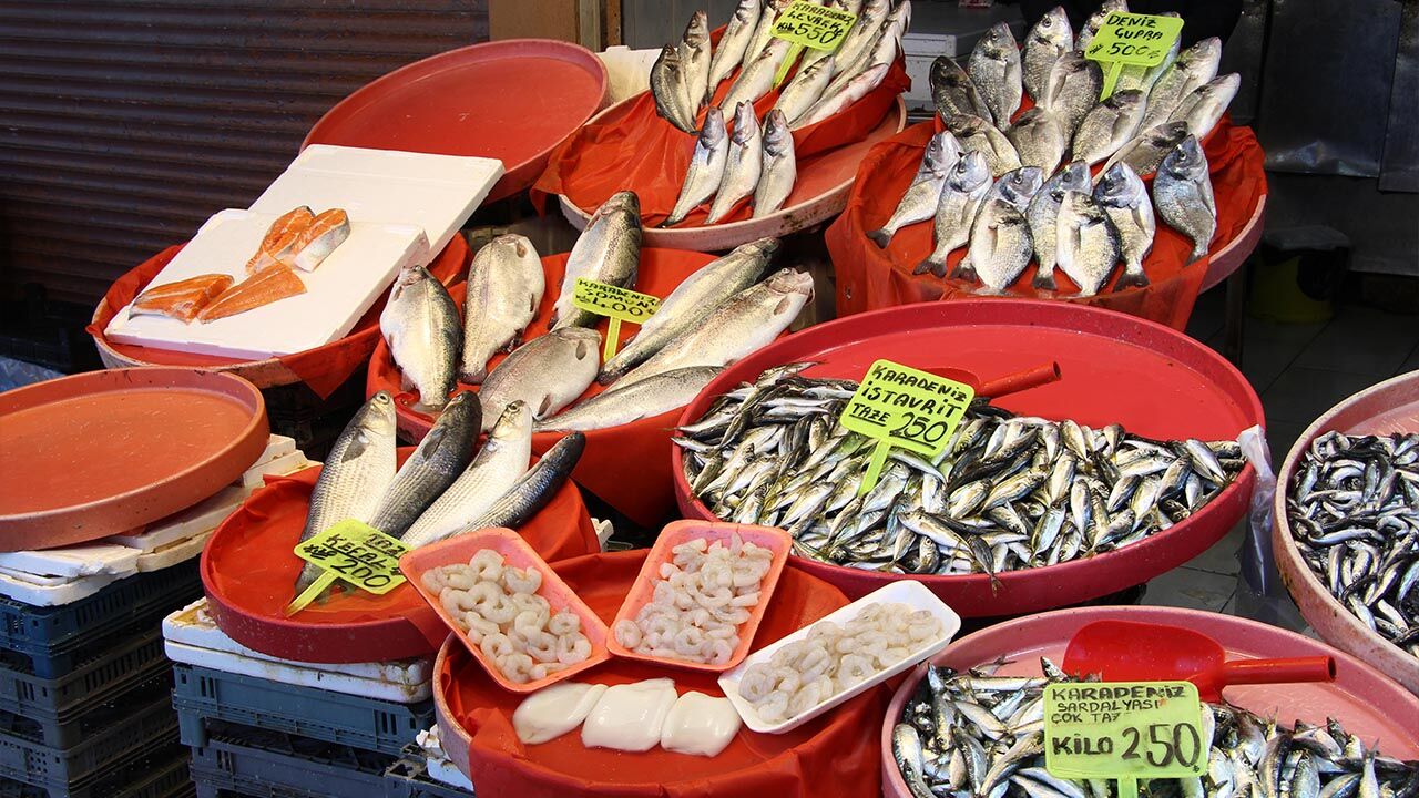 Yalova Merkez Balik Pazar Avlanma Sezonu Bitis Degerlendirme Haber (6)