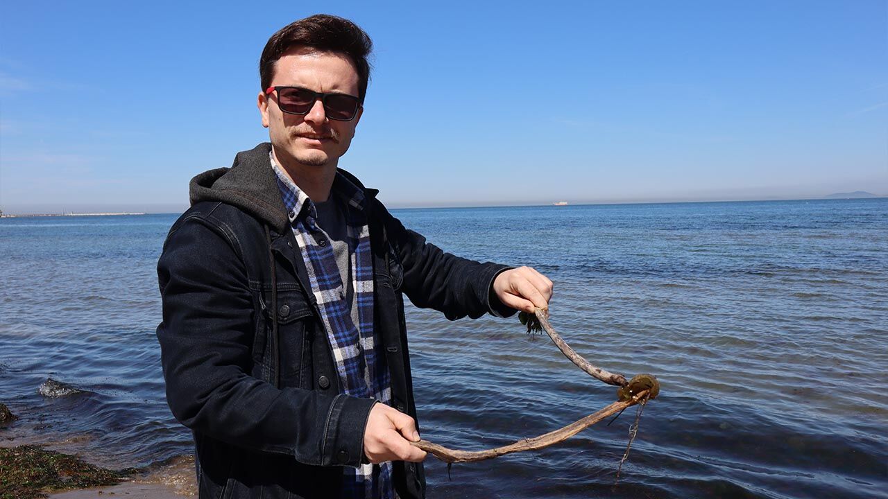 Yalova Sahilinde Esrarengiz İstila (7)