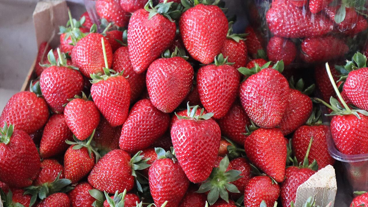 Yalova Semt Pazarı’nda Bahar Etiketi (10)