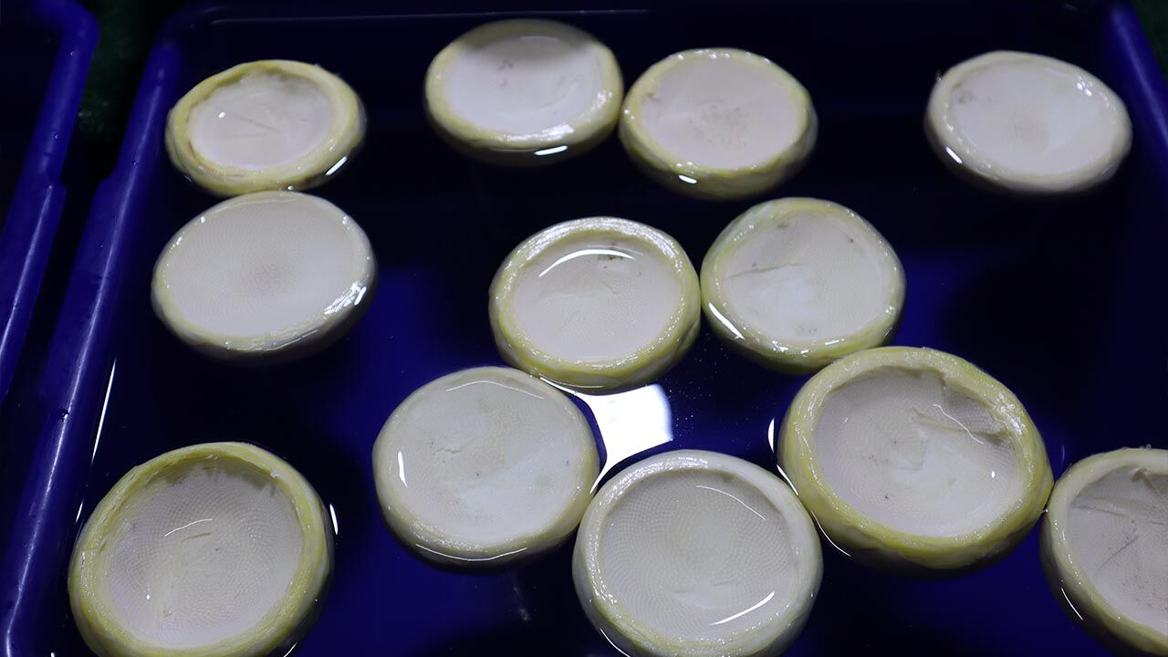 Yalova Semt Pazarı’nda Bahar Etiketi (3)