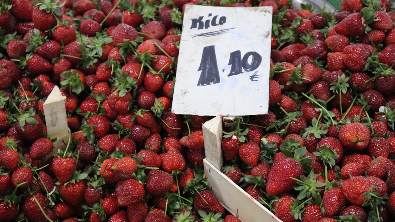 Yalova Semt Pazarı’nda Bahar Etiketi (4)