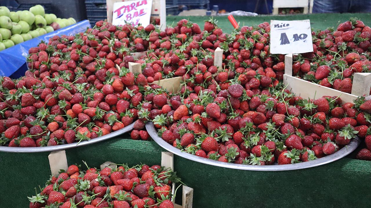 Yalova Semt Pazarı’nda Bahar Etiketi (5)