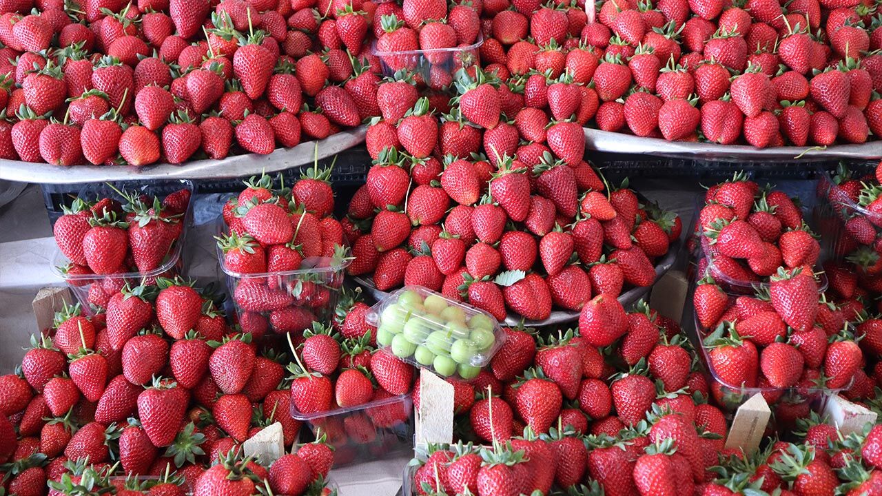 Yalova Semt Pazarı’nda Bahar Etiketi (9)