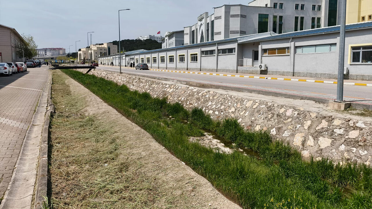 Yalova Üniversitesi Kampüsünde Öğrencilerden Dere Tepkisi (4)