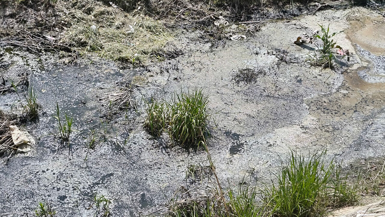 Yalova Üniversitesi Kampüsünde Öğrencilerden Dere Tepkisi (6)