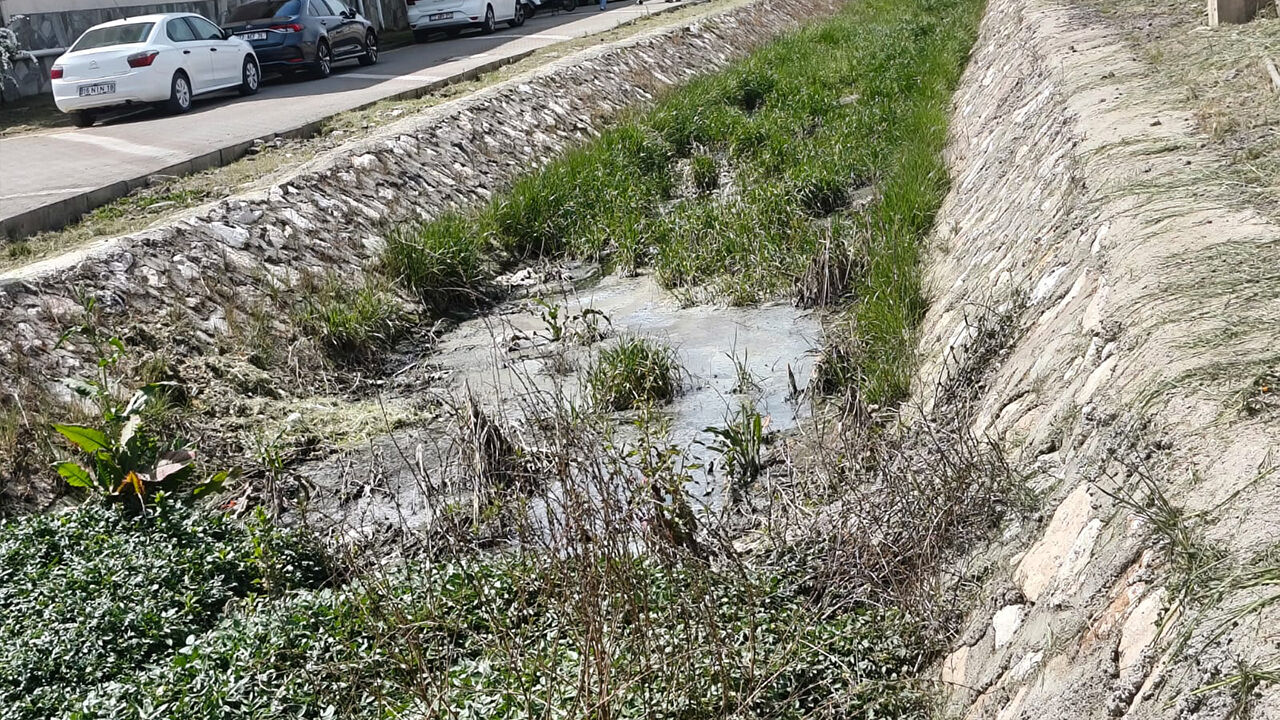 Yalova Üniversitesi Kampüsünde Öğrencilerden Dere Tepkisi (7)