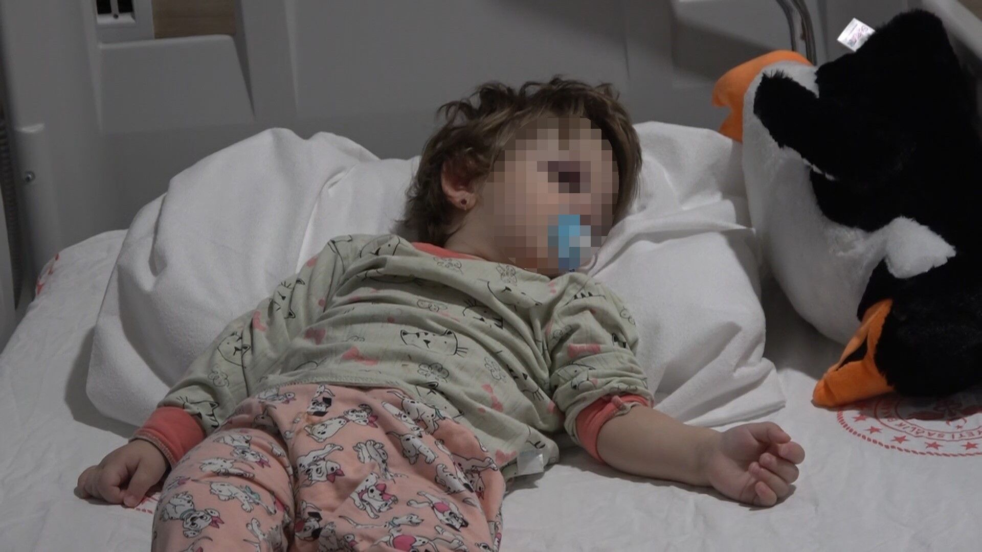 Yalova’da Baba Ve Kızına Scootterla Saldıran Sanığın Yargılanması Başladı (4)