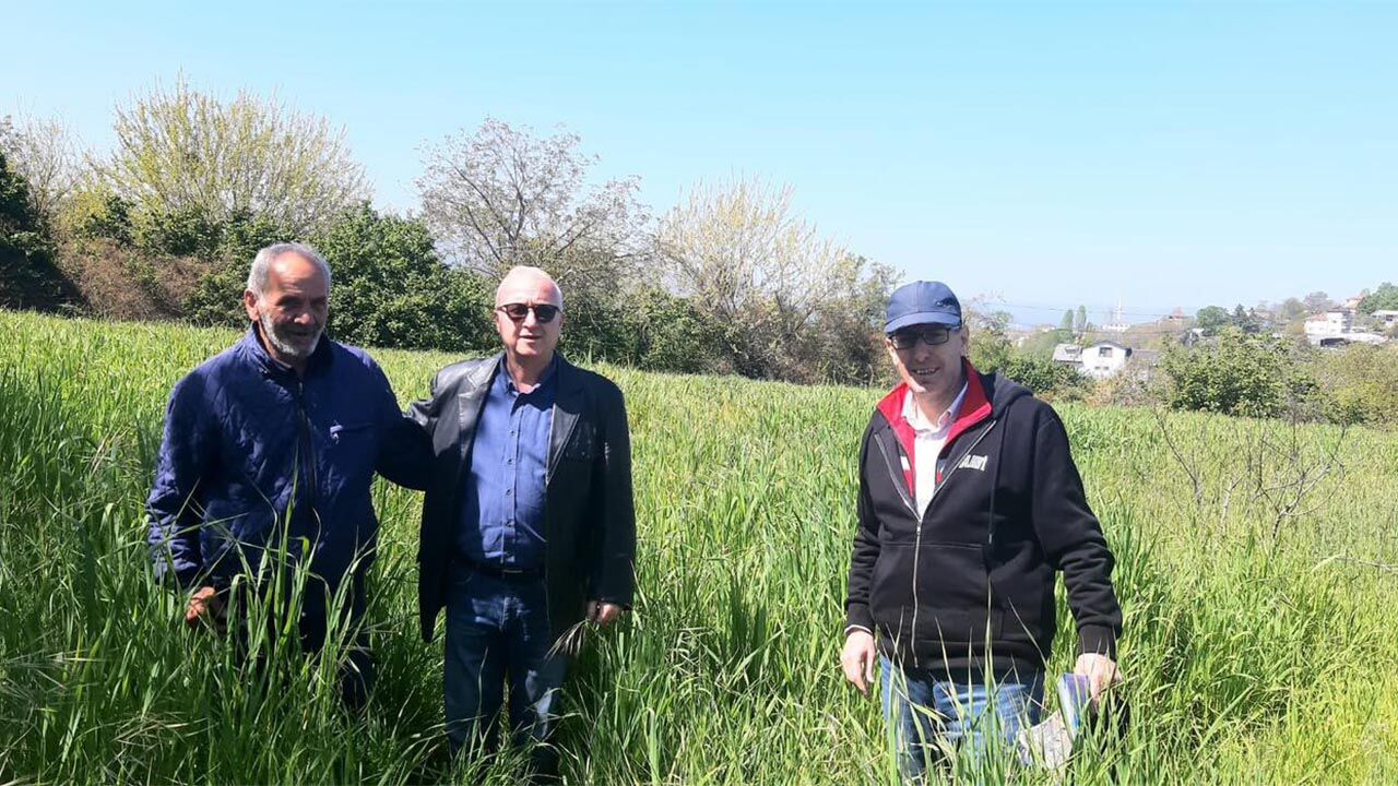 Yalova’da Yem Bitkileri İçin Sahaya İnildi (1)