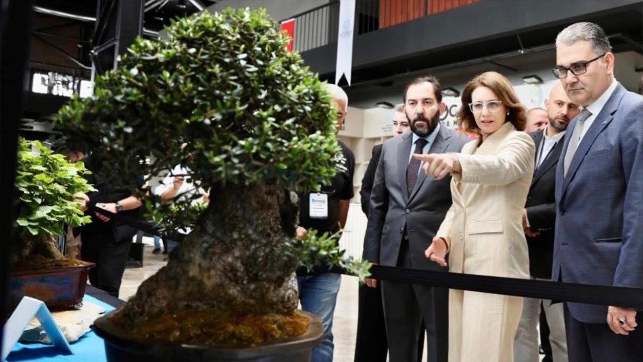 Kocaeli’nde Ulusal Bonsai Sergisi Açıldı (4)