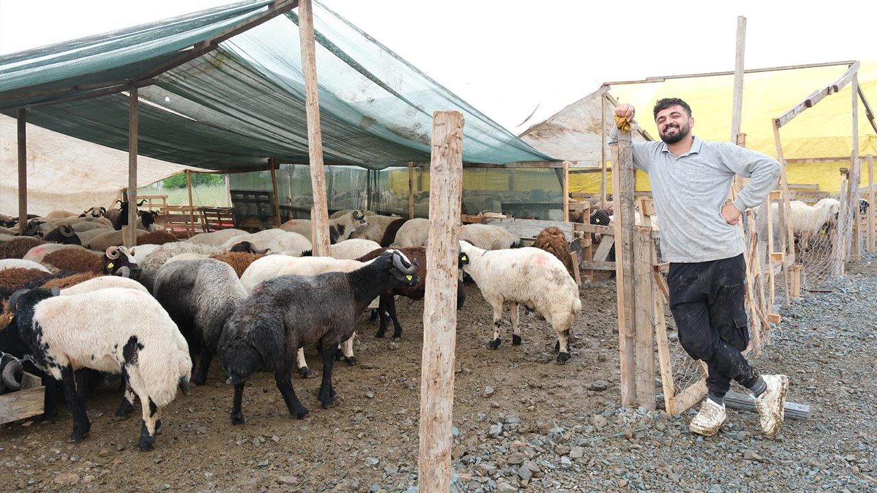 Yalova Ciftlikkoy Belediye Kurban Bayram Pazar Hazirlik (3)