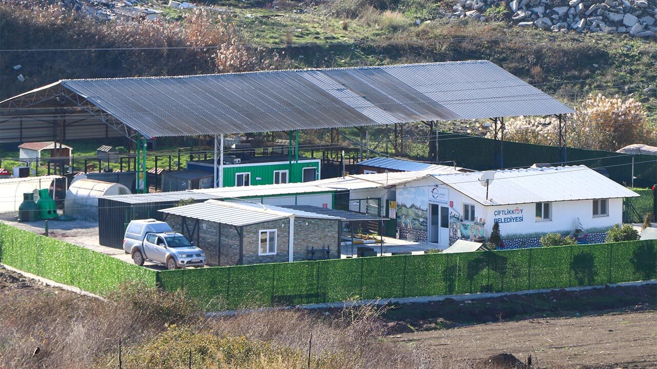 Yalova Ciftlikkoy Belediye Sokak Hayvan Bakimevi Nisan Ayi Veriler (2)