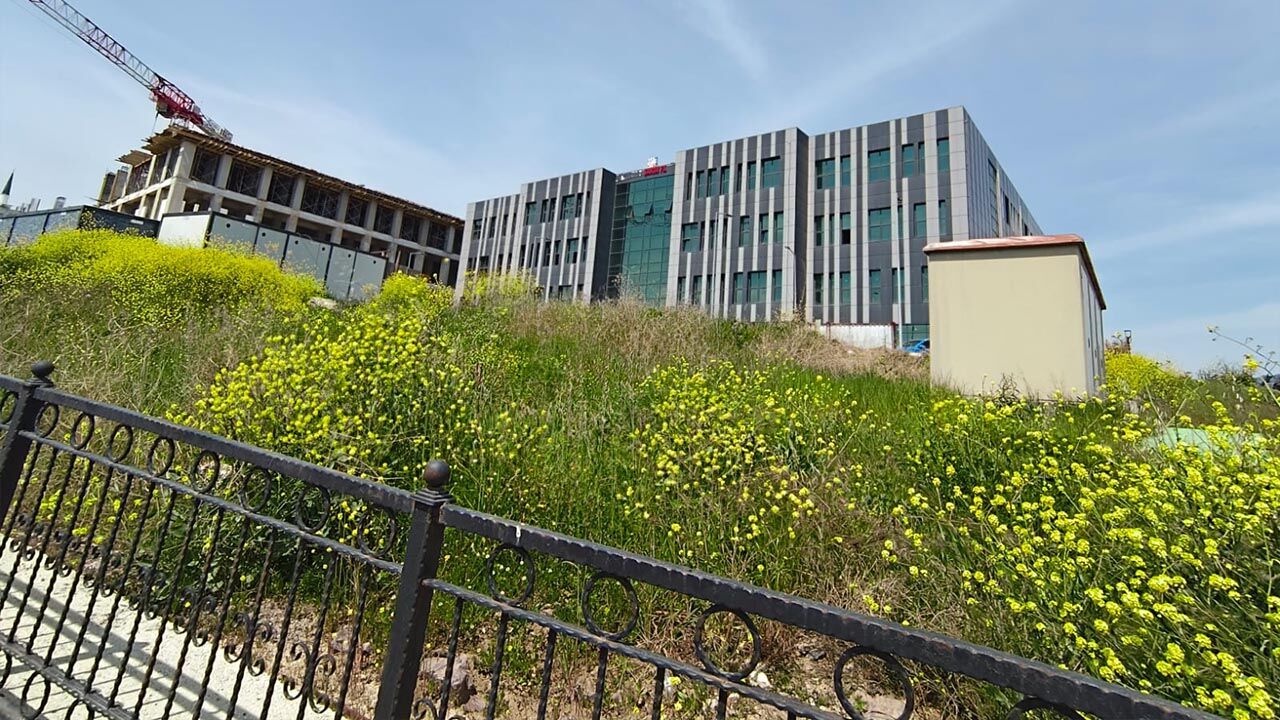 Yalova Üniversitesinde “Sanat” Yarım Kaldı Haber(3)