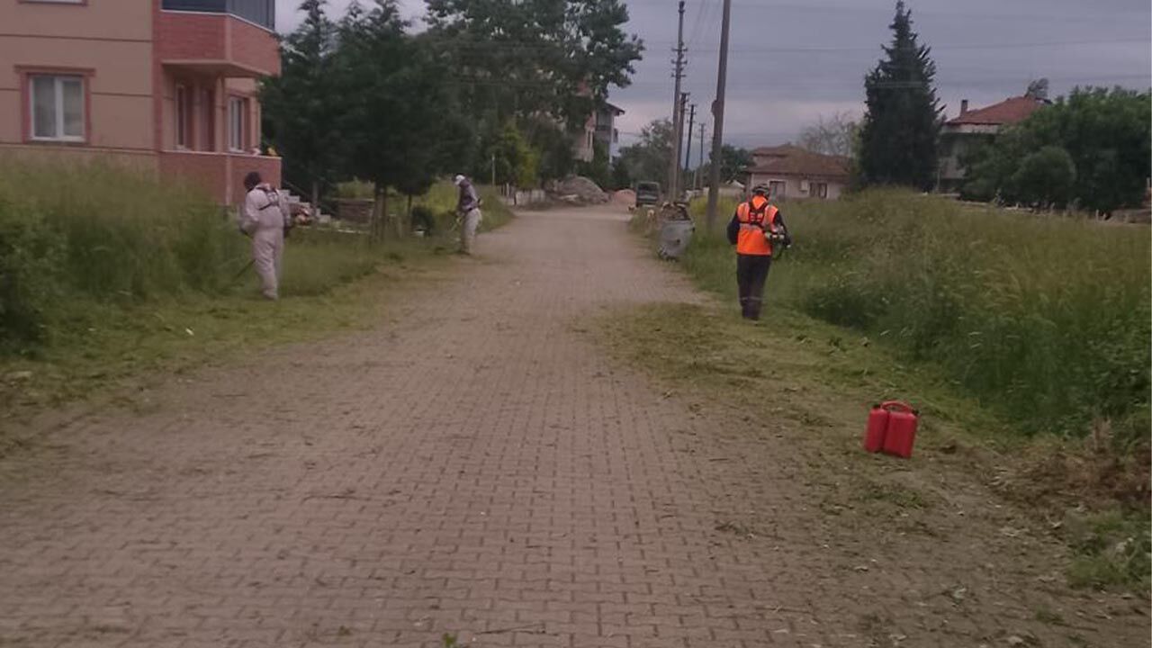 Yalova Altinova Belediye Kurban Bayrami Hazirlik Temizlik Calisma Haber (1)