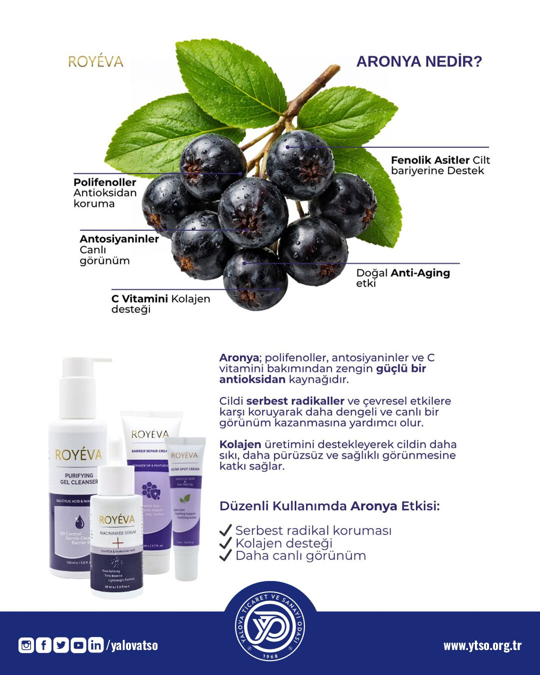 Yalova Roveya Cosmetics Aronya Ografi Urun Kozmetik