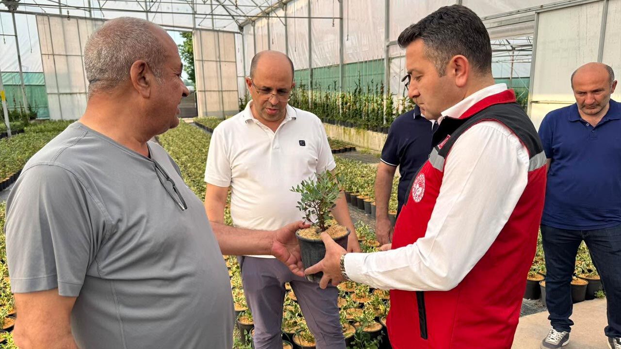 Antalya Heyeti Yalova'da Süs Bitkilerini İnceledi (2)