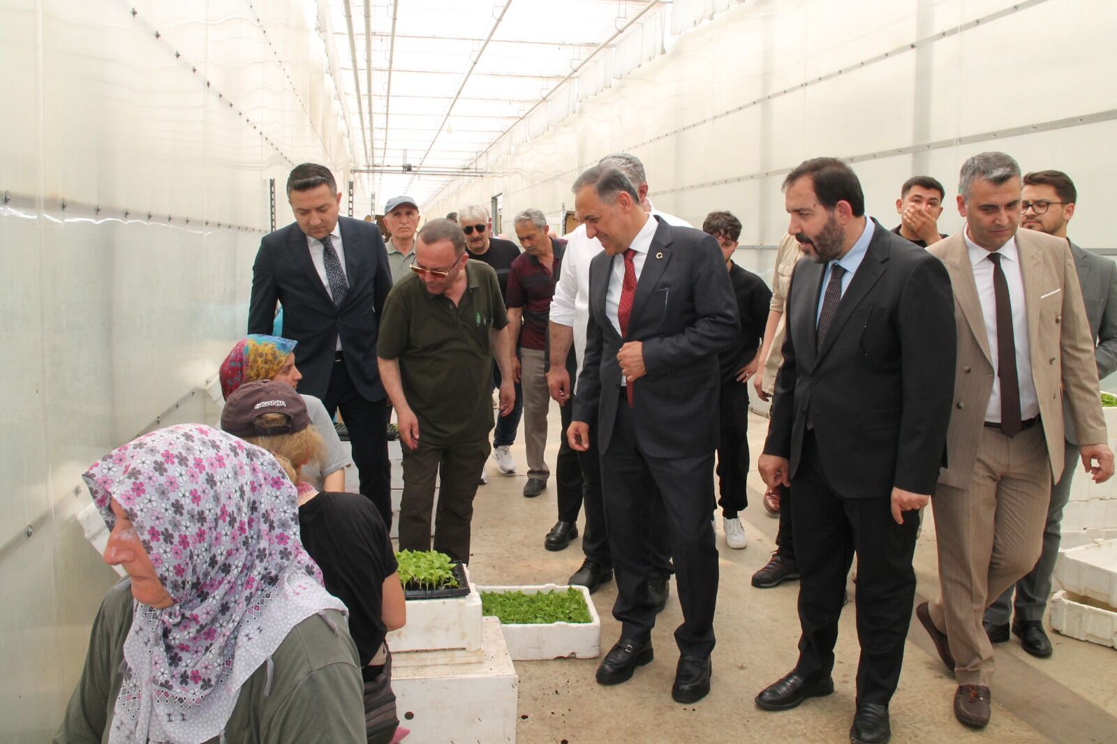 Çiftçiye 800 Bin Adet Atalık Tohum (1)