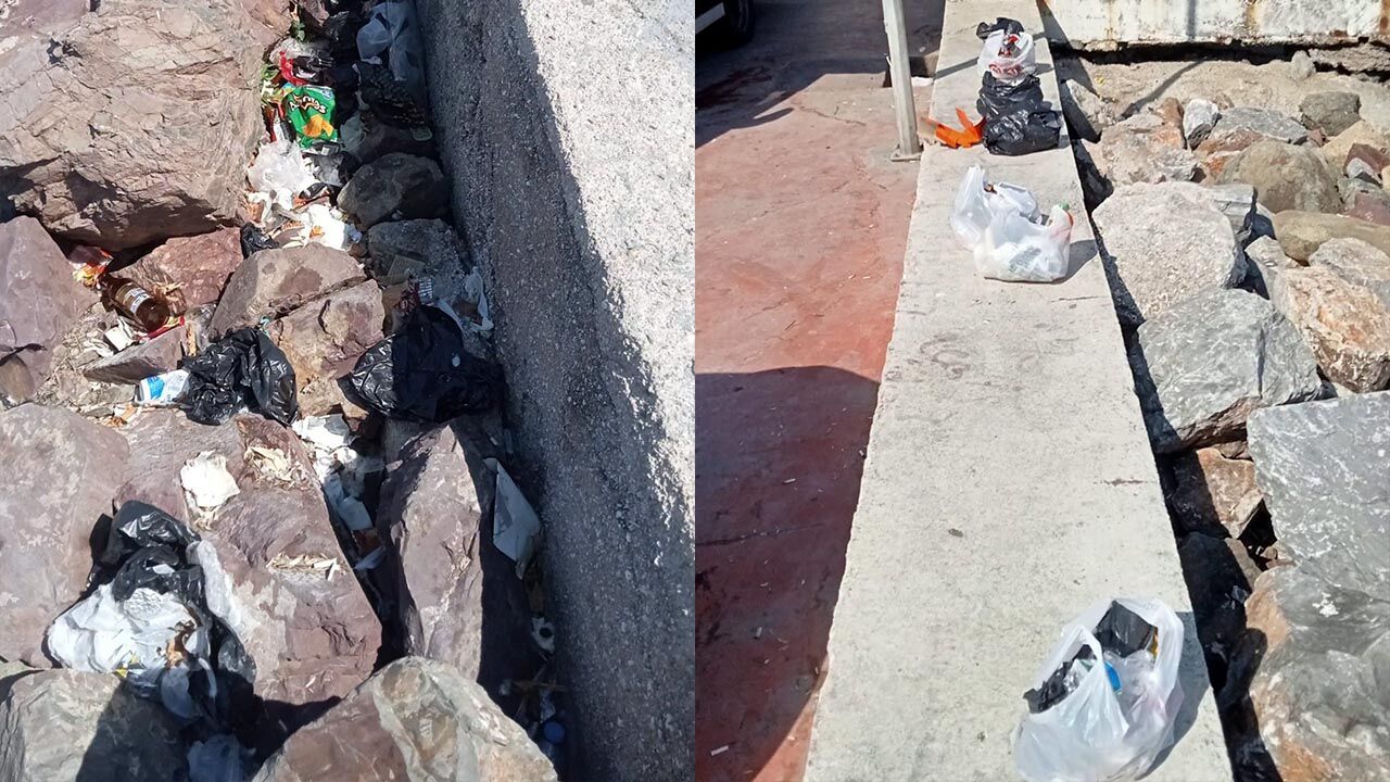 Çınarcık’ta Doğaya Bırakılan Atıklar Temizledi (2)