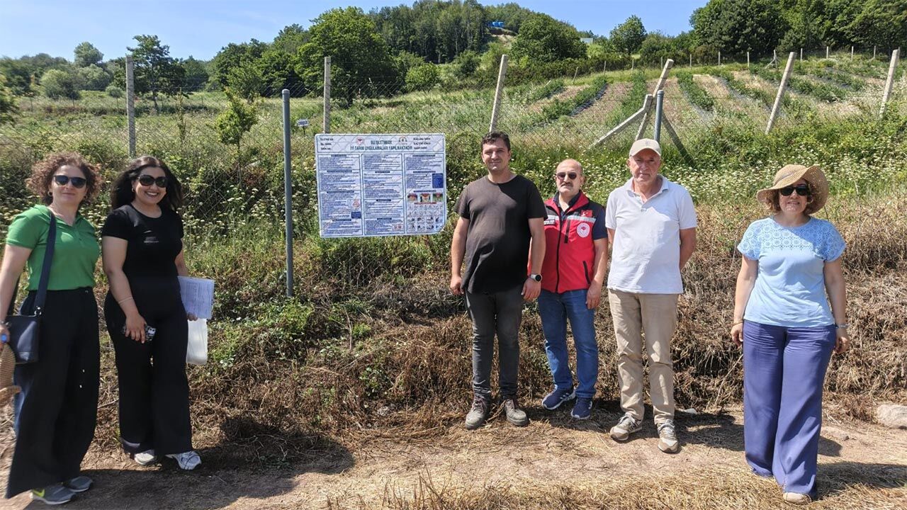 Yalova Il Tarim Iyi Uygulamalar Yaban Mersini Altinova Sermayecik (1)