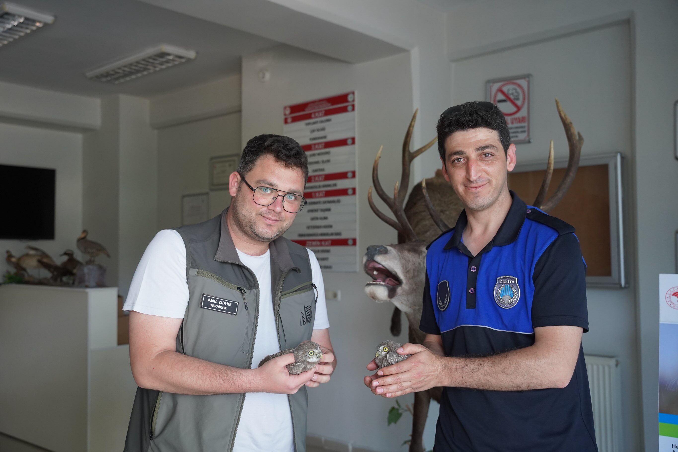 Yavru Baykuşları Böyle Kurtardı (3)