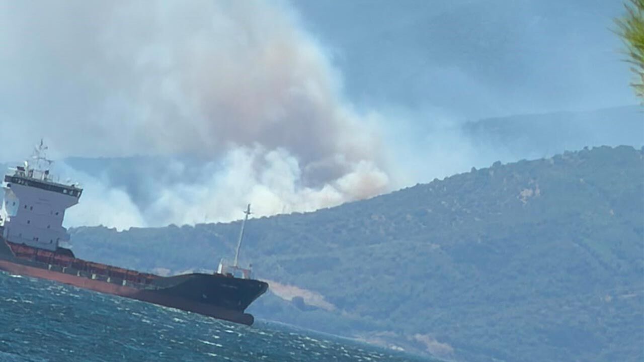Armutlu Yangın (1)