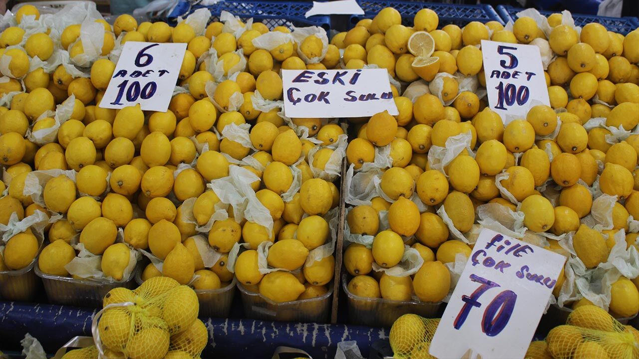 Yalova Pazar Fiyat Ekonomi Sebze Meyve Alim Gucu (4)