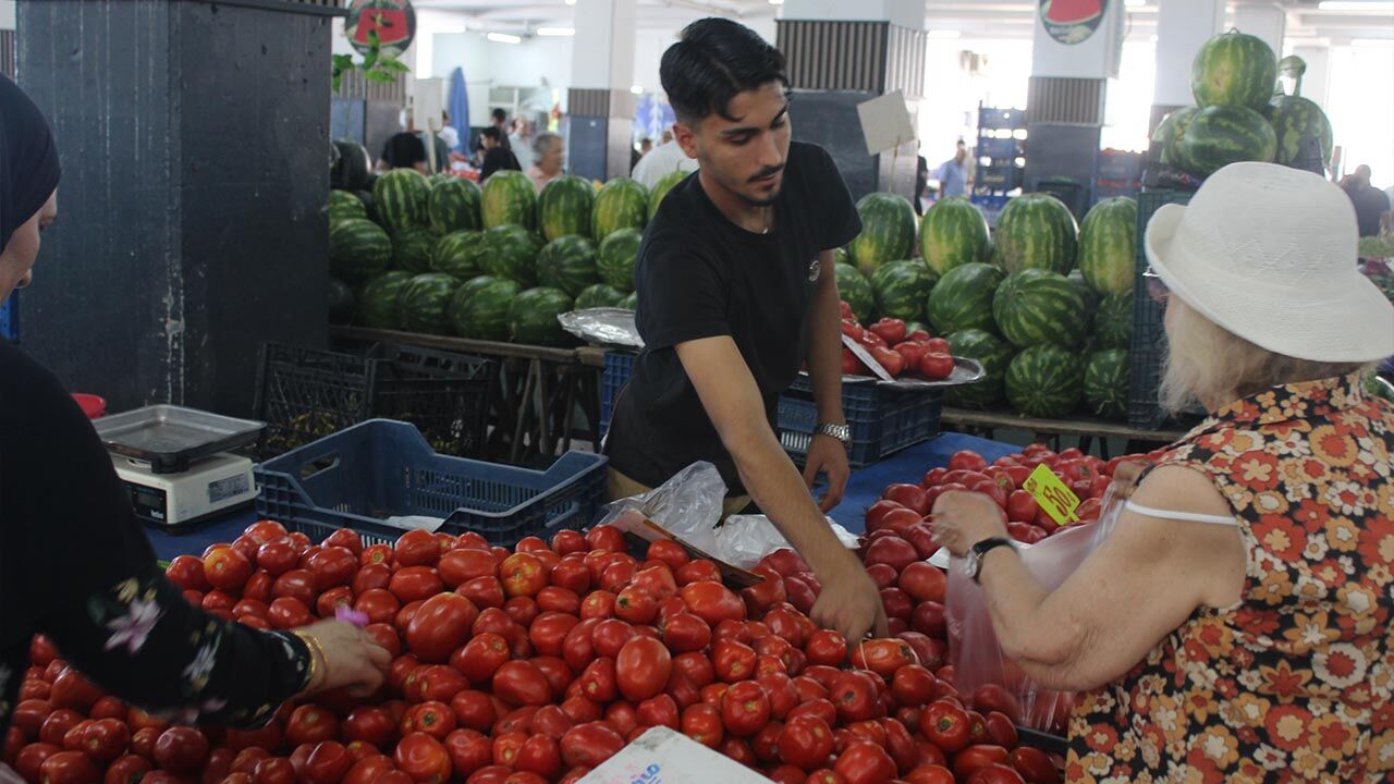 Yalova Pazar Fiyat Ekonomi Sebze Meyve Alim Gucu (9)