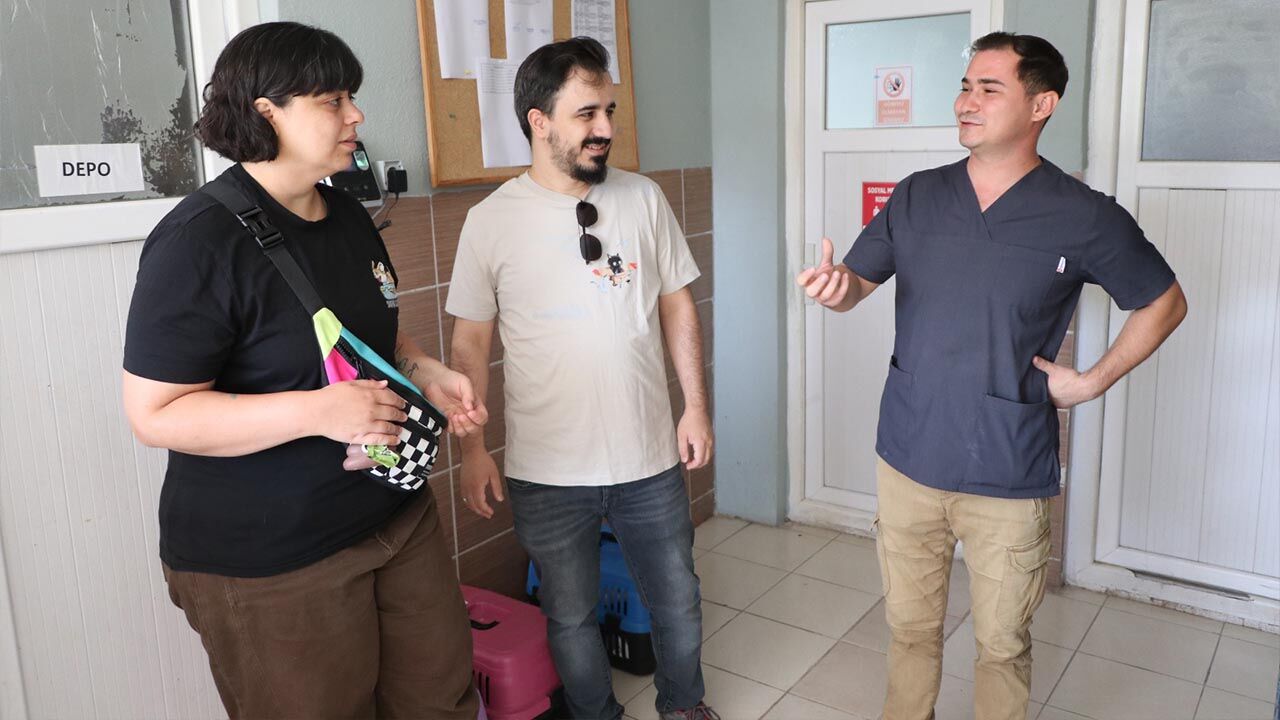 Yalova Ciftlikkoy Belediye Hayvansever Veteriner Mama Bagis (3)
