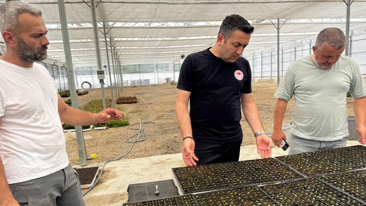 Yalova Il Tarim Orman Mudur Koru Kesme Cicek Uretici Destek (1)