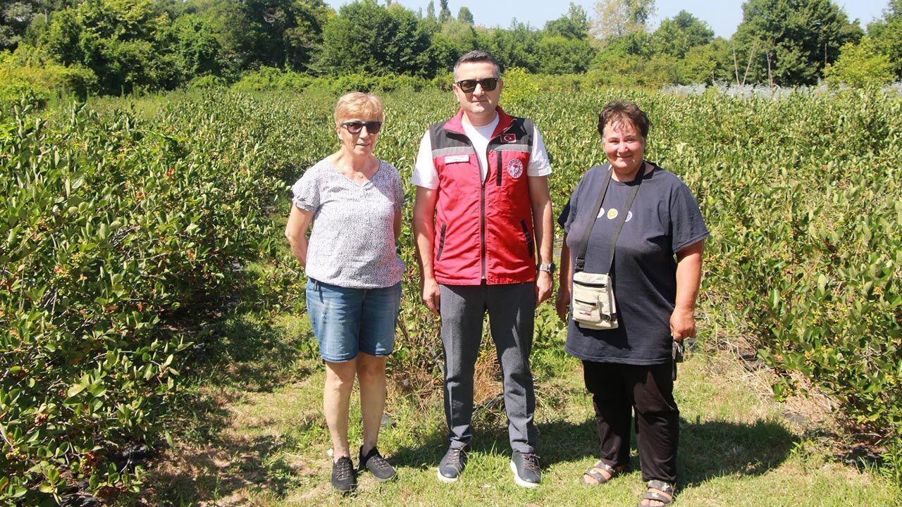 Yalova Il Tarim Orman Mudurluk Ortaburun Aronya Uretici Inceleme (4)