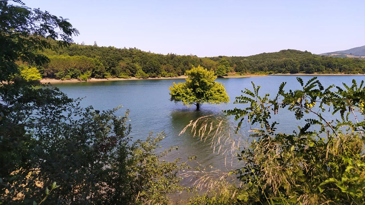 Yalova Termal Gokce Baraj Su Seviye (4)
