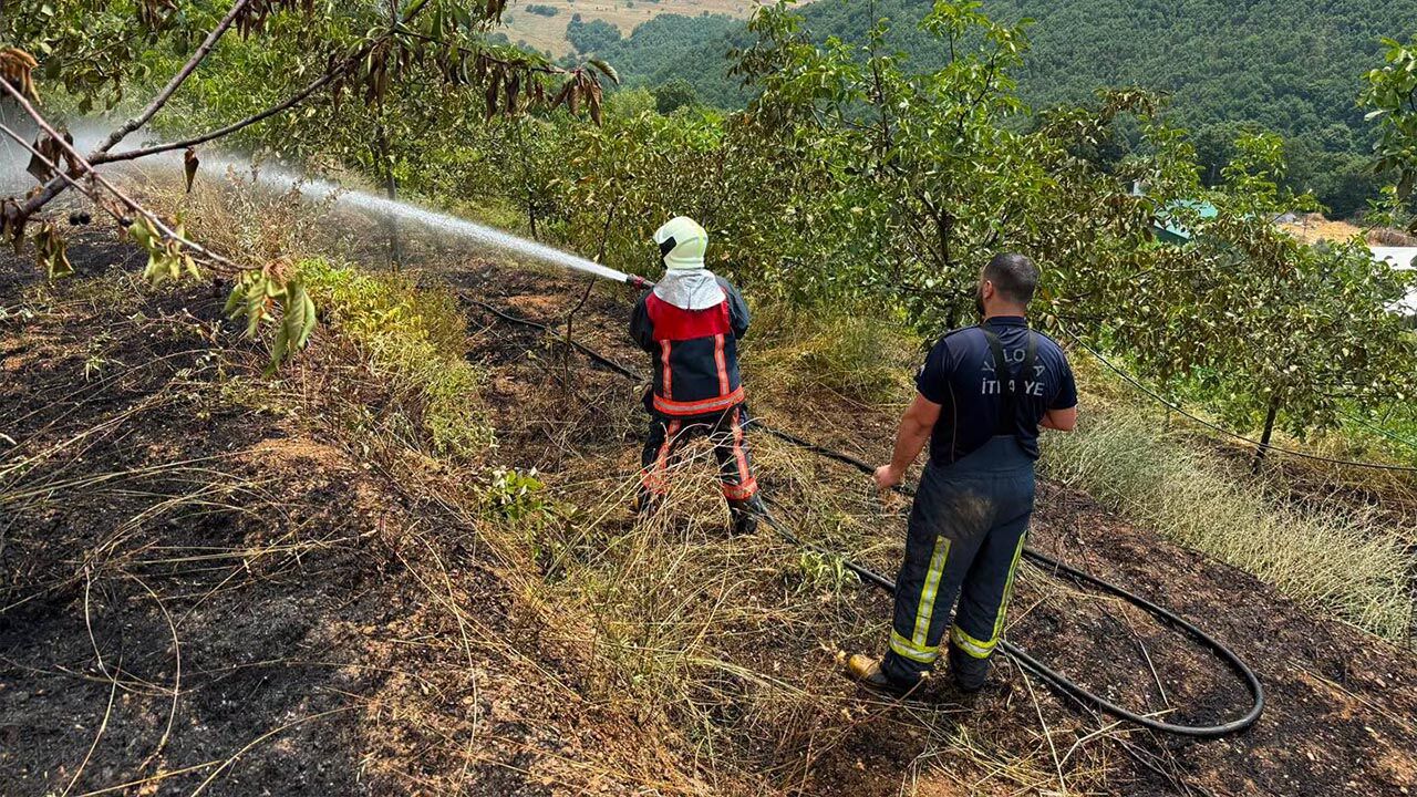 Yalova’da Meyve Bahçesinde Çıkan Yangın Söndürüldü (1)