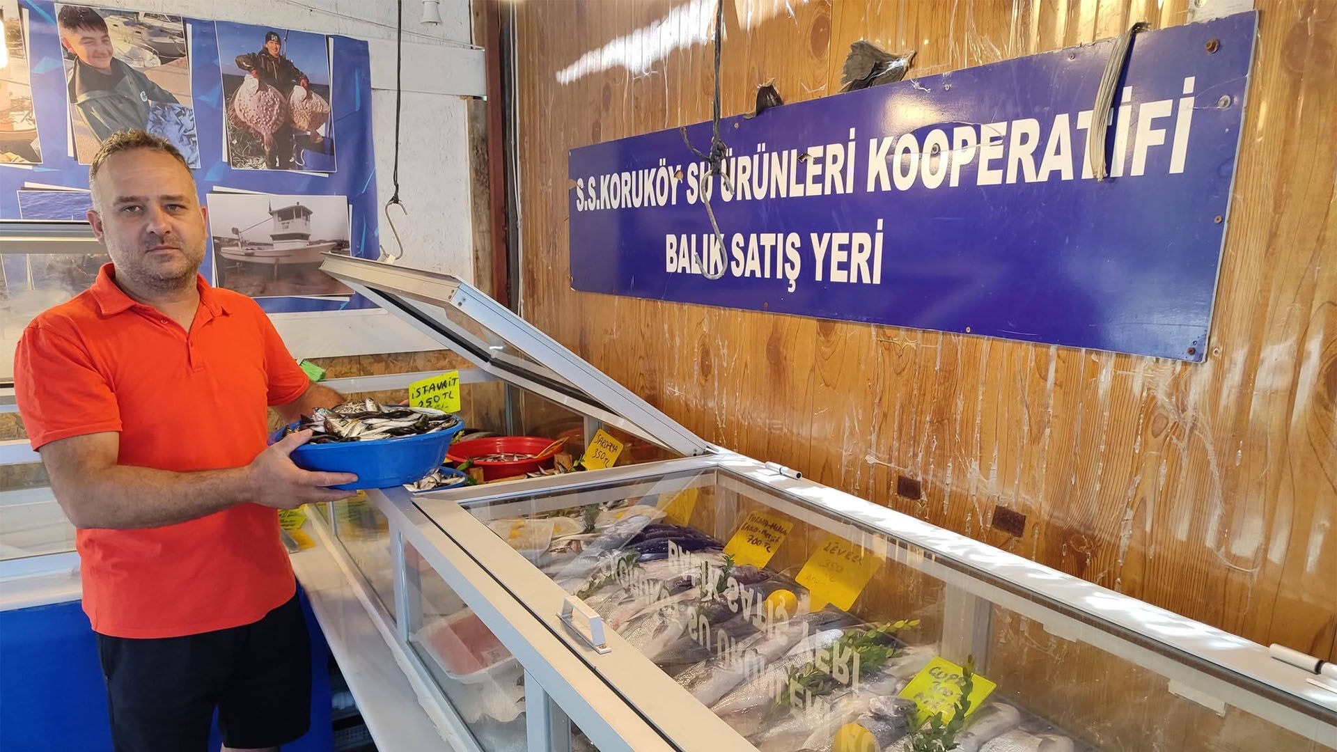 Korukoy Palamut Sezonu (2)