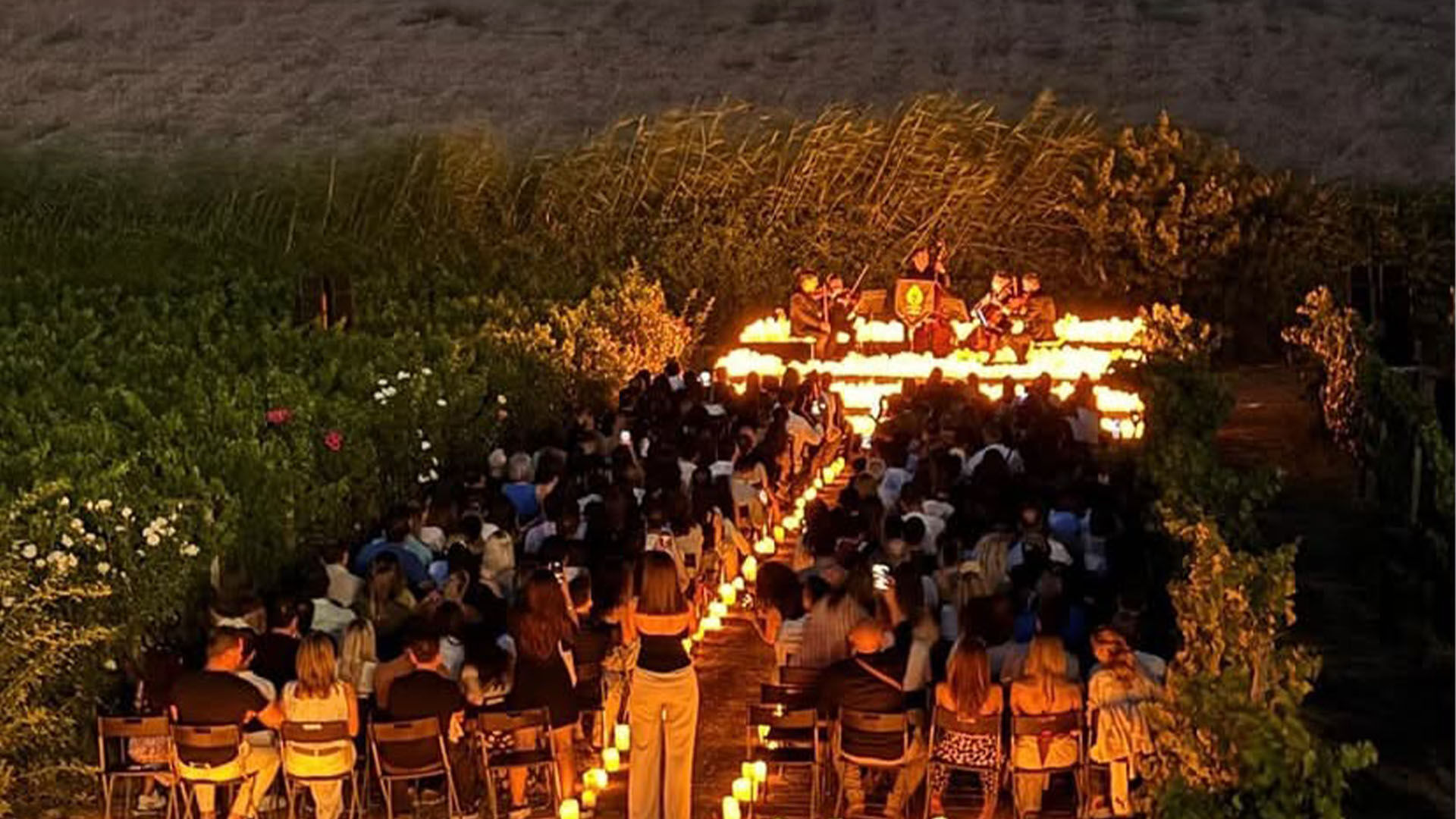 Yalova Candle And Echoes Konseri (2)