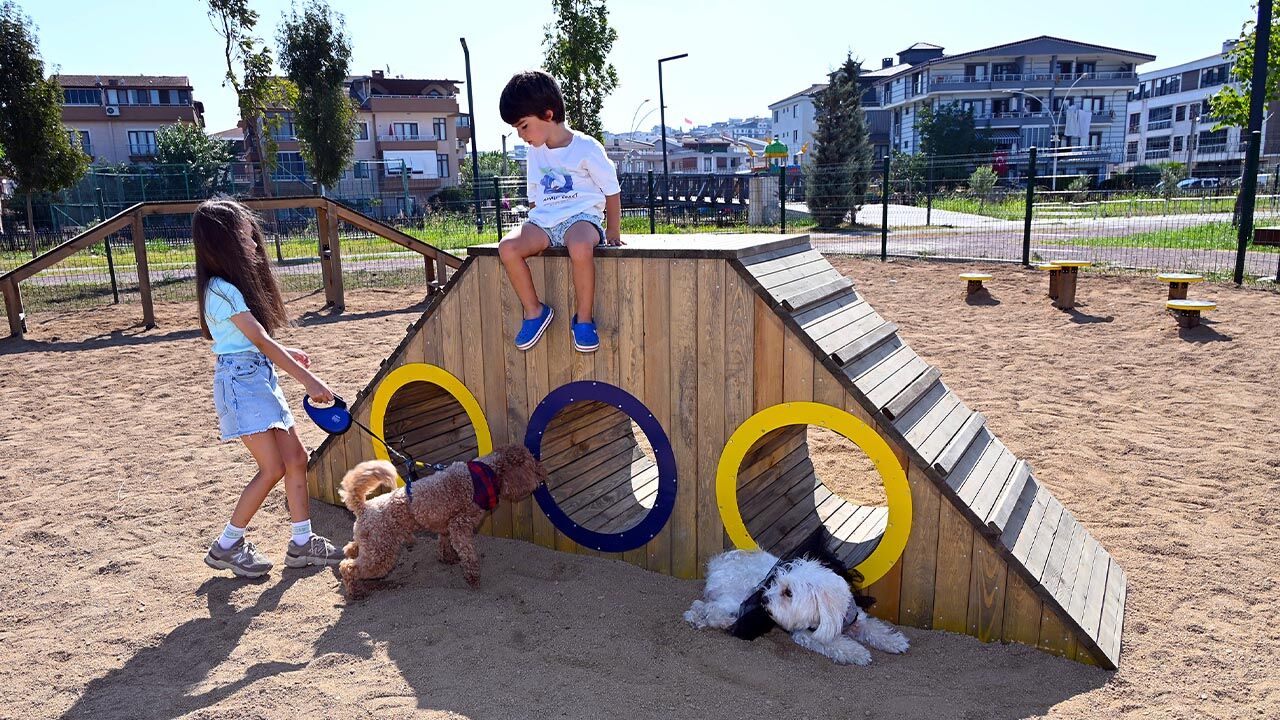 Yalova Belediye Millet Bahce Kopek Park Alan (3)